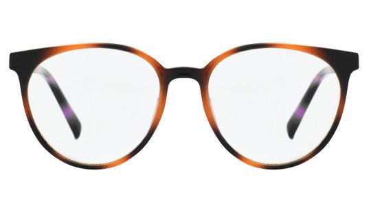 Lunettes anti-lumière bleue Signature Krys Femme Écaille Ronde Skpap-E2108 Face