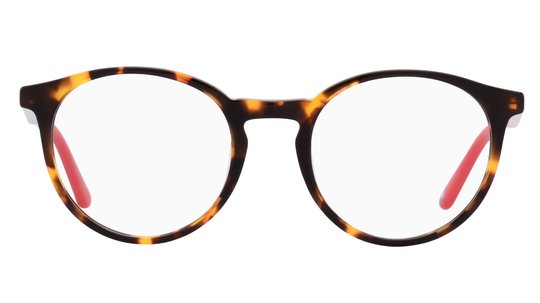 Lunettes de vue Le Coq Sportif Homme Écaille Pantos Lcs2205 Face