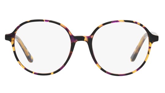 Lunettes de vue Alternance Femme Écaille Ronde Alt22105 Face