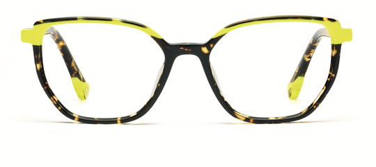 Lunettes de vue Etnia Barcelona Femme Écaille Papillon NIAGARA Face